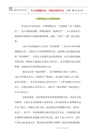中国啤酒业市场报告