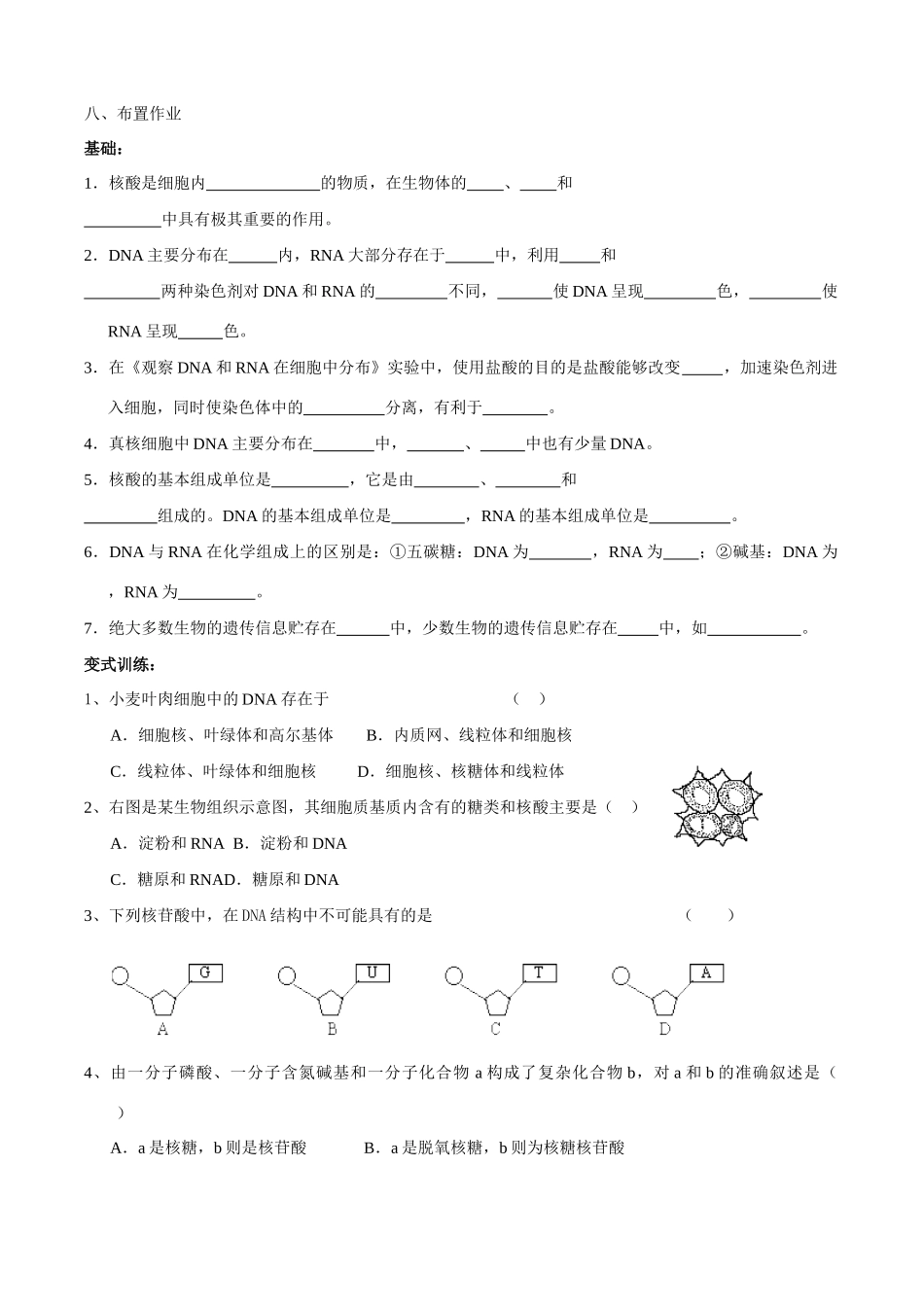 第2章第3节   遗传信息的携带者——核酸_第3页