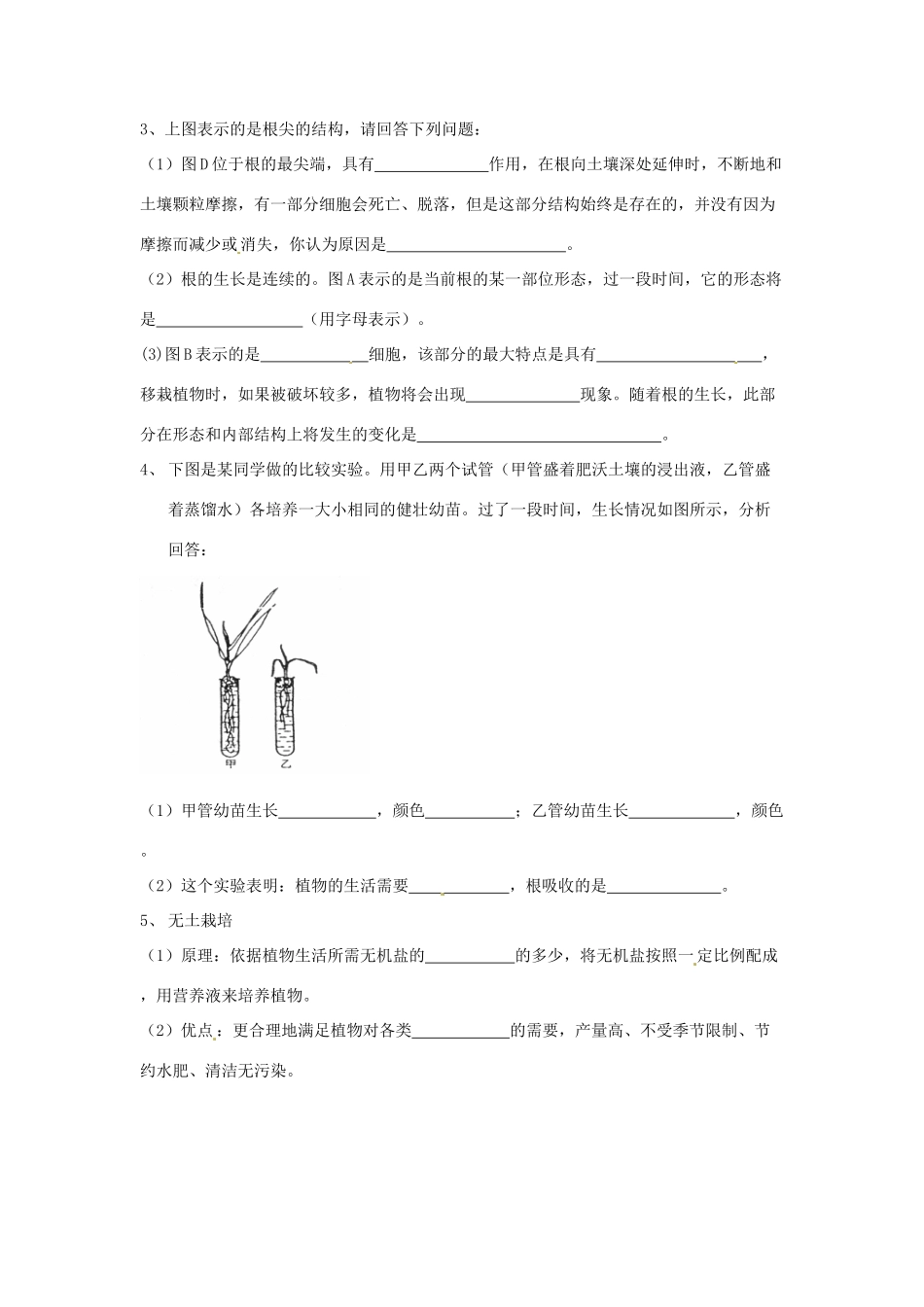 八年级生物上册 4.1.5根的结构和功能教学设计 （新版）济南版-（新版）济南版初中八年级上册生物教案_第3页
