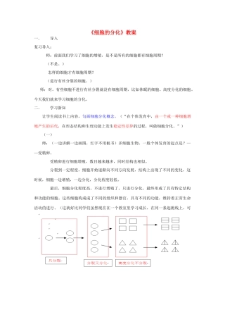 高中生物 细胞的分化 教案 新人教版必修1