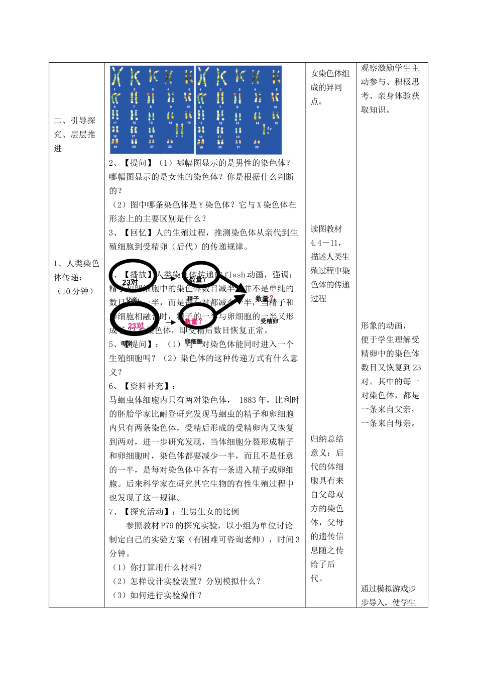 八年级生物上册 4.4.3《人类染色体与性别决定》教案 （新版）济南版-（新版）济南版初中八年级上册生物教案_第3页
