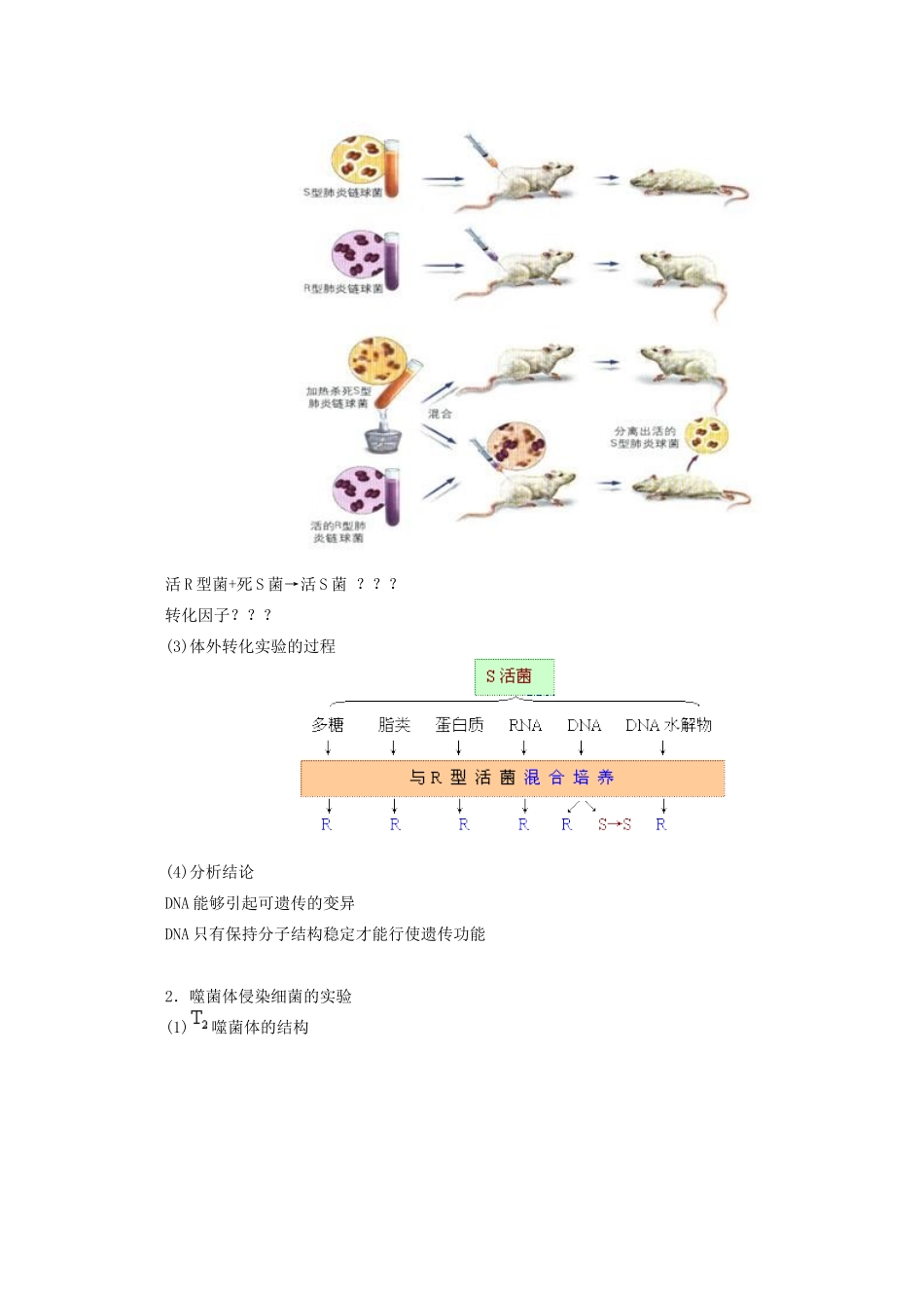 高中生物：第4章《遗传的分子基础》教案苏教版必修2_第2页