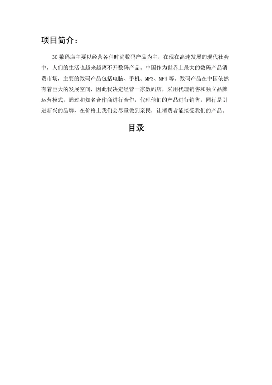 数码店创业计划书_第2页