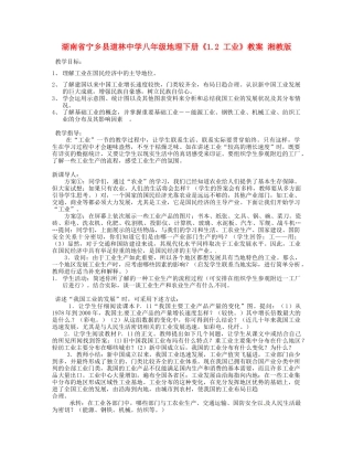 湖南省宁乡县道林中学八年级地理下册《1.2 工业》教案 湘教版