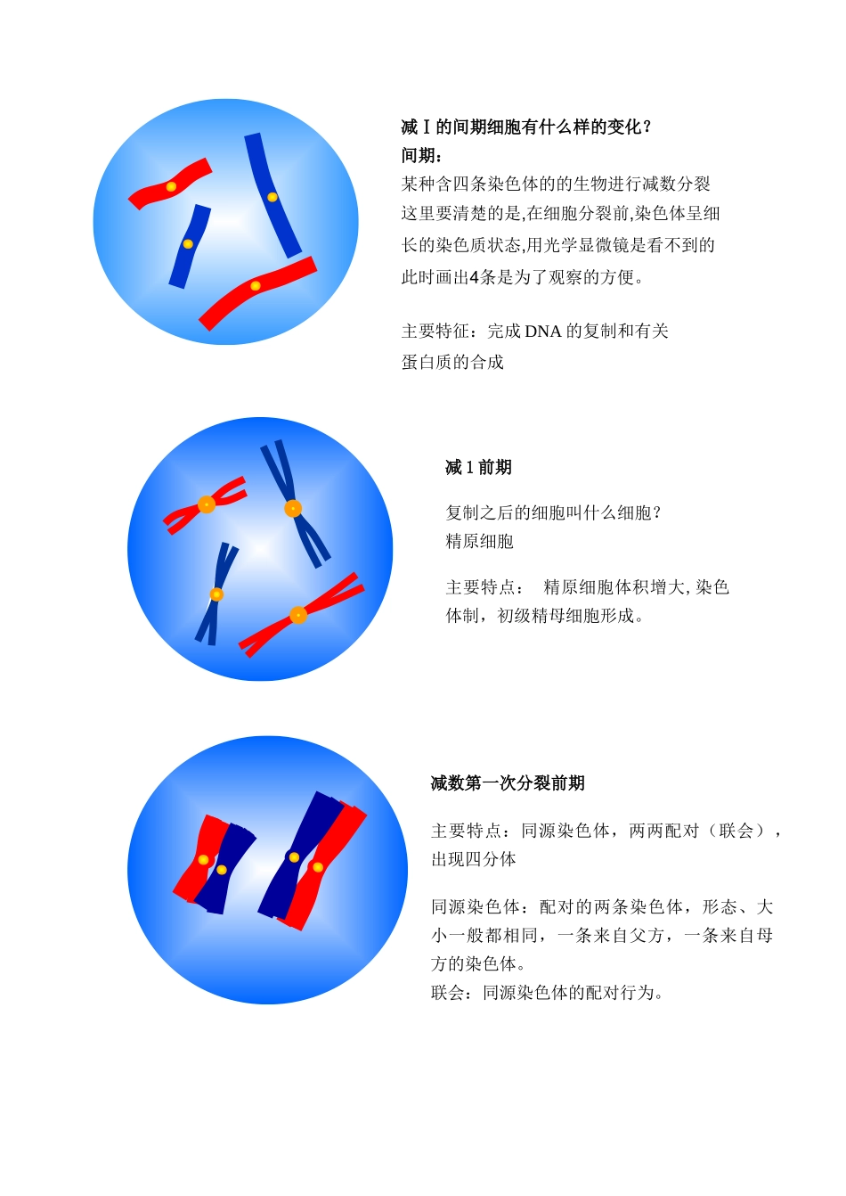 高中生物 《减数分裂和受精作用》教案9 新人教版必修2_第2页