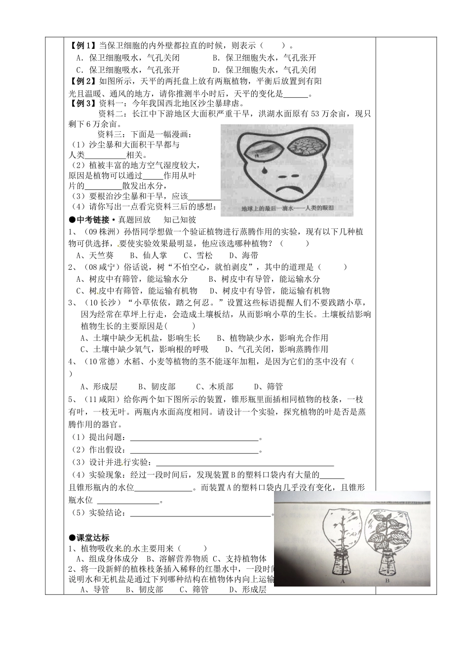 湖南省茶陵县世纪星实验学校八年级生物复习《第7讲  绿色植物参与水循环》教案 人教新课标版_第2页