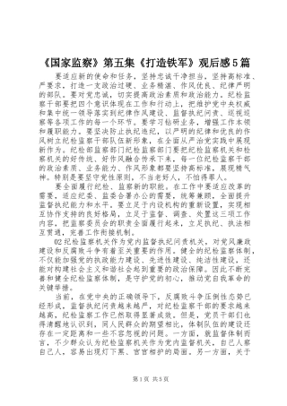 《国家监察》第五集《打造铁军》观后感5篇