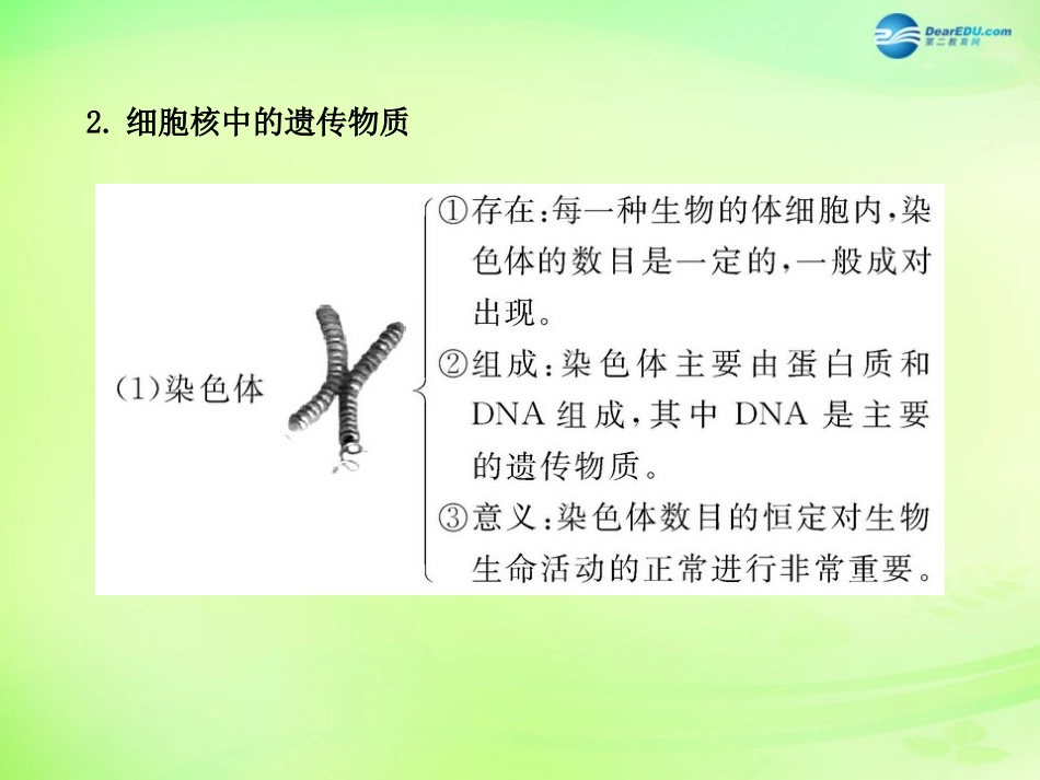 八年级生物下册 第二十二章 生物的遗传和变异课件 （新版）苏教版_第3页