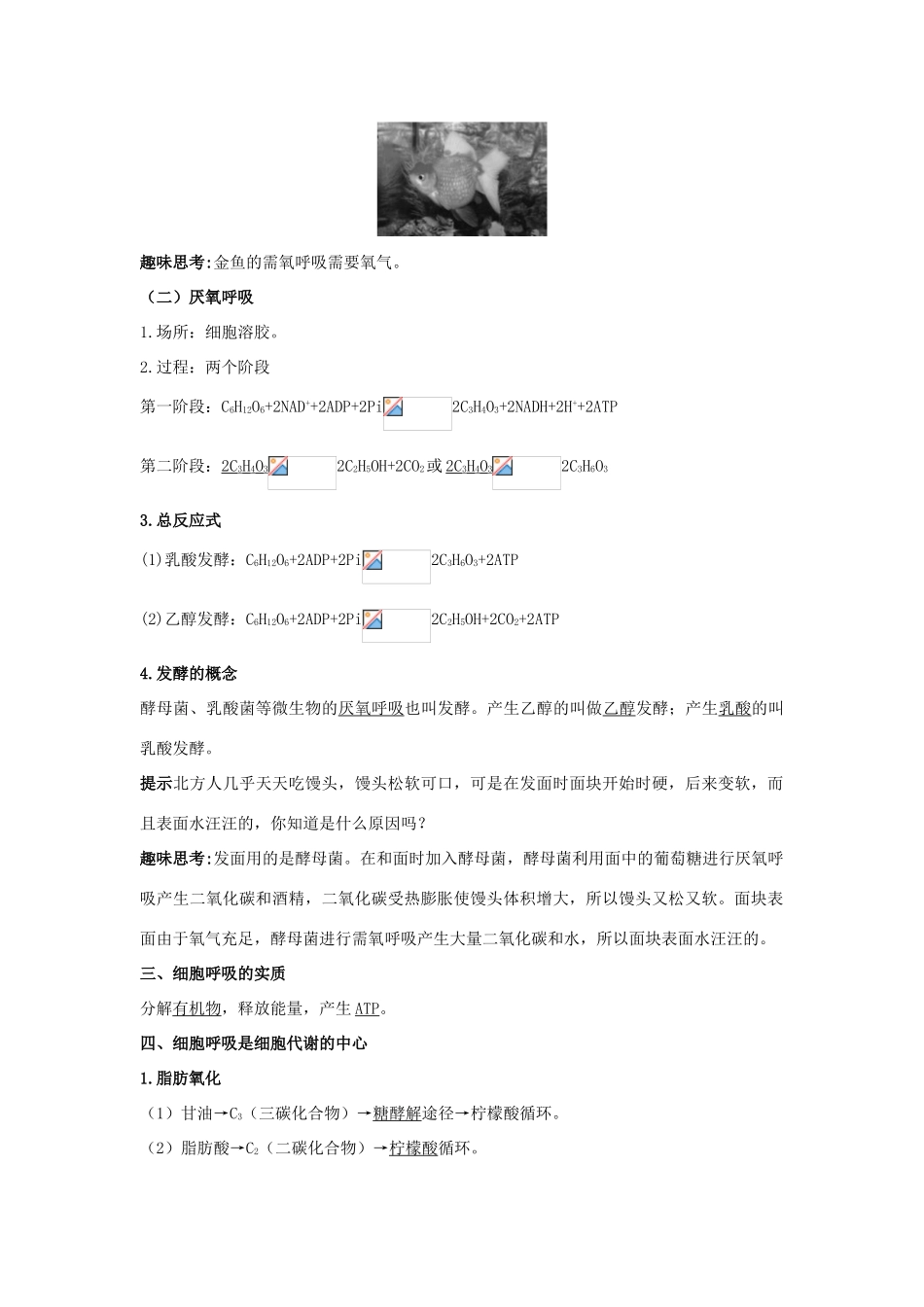 高中生物 第四节细胞呼吸辅导教案 浙科版_第2页