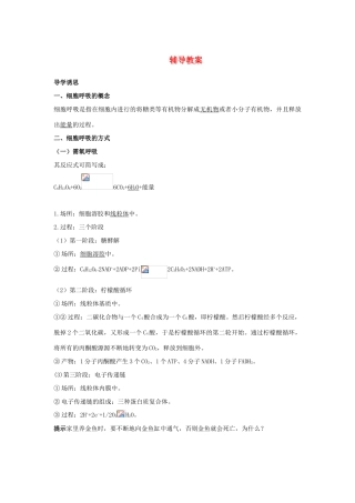 高中生物 第四节细胞呼吸辅导教案 浙科版