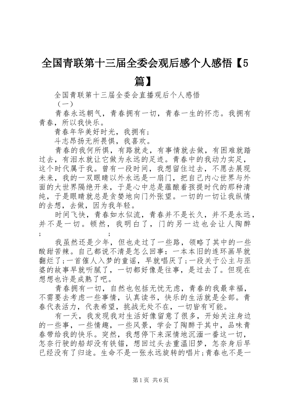 全国青联第十三届全委会观后感个人感悟【5篇】_第1页