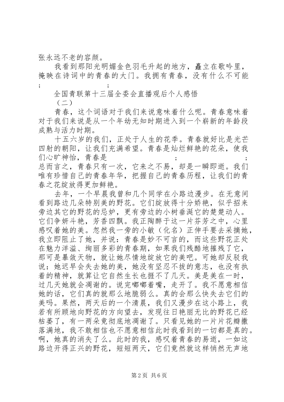全国青联第十三届全委会观后感个人感悟【5篇】_第2页
