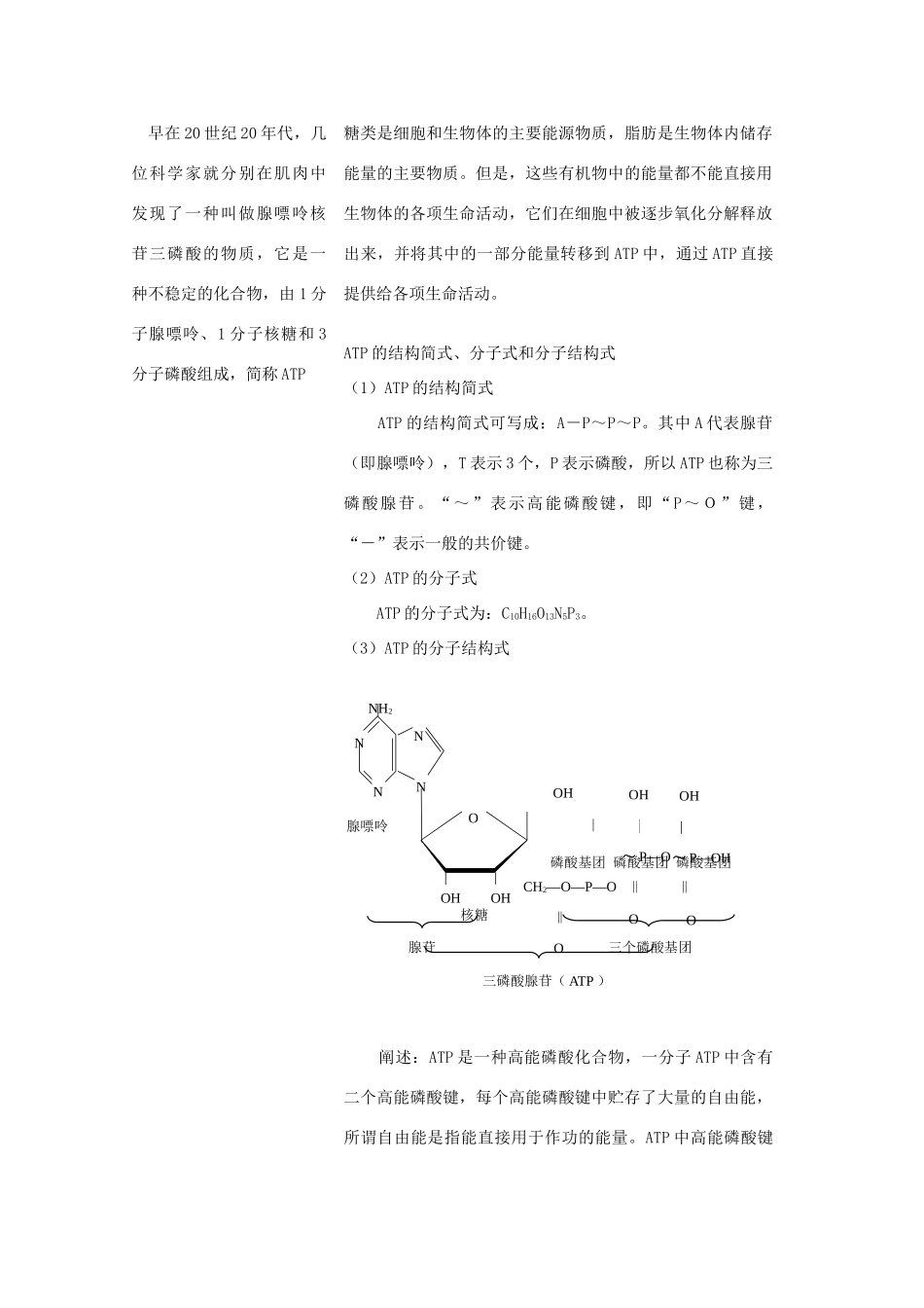 《ATP和酶》教案（2）_第2页