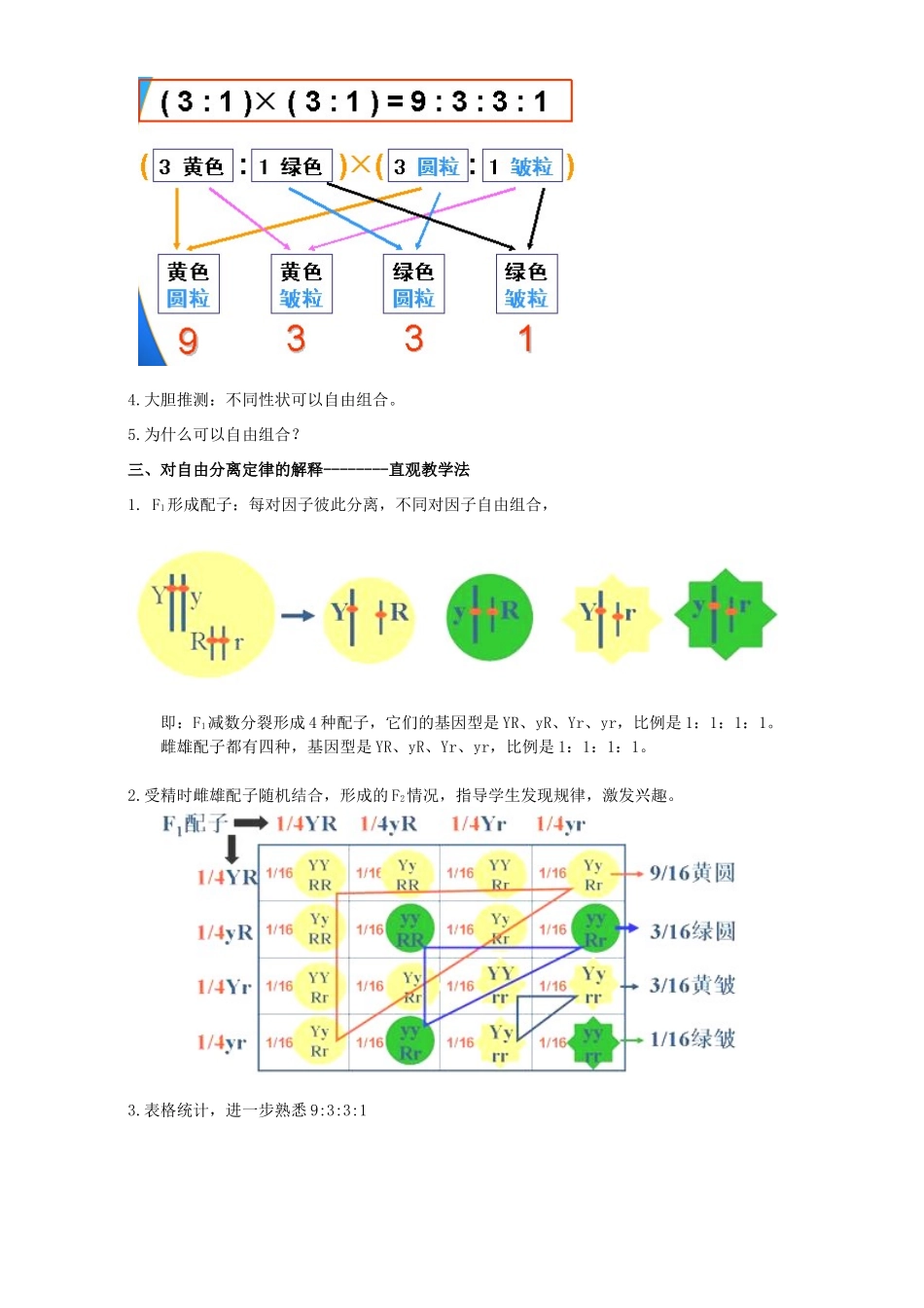 高中生物 第二节 自由组合定律 6教案 浙科版必修2-浙科版高中必修2生物教案_第2页