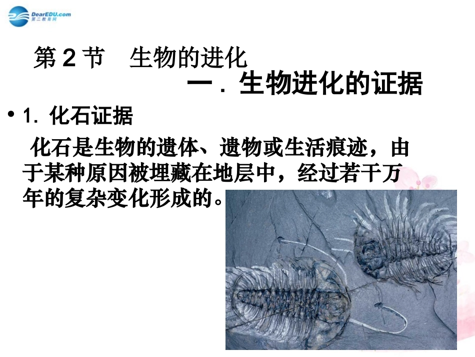 八年级生物下册 第21章 第二节 生物的进化课件2 （新版）北师大版_第1页
