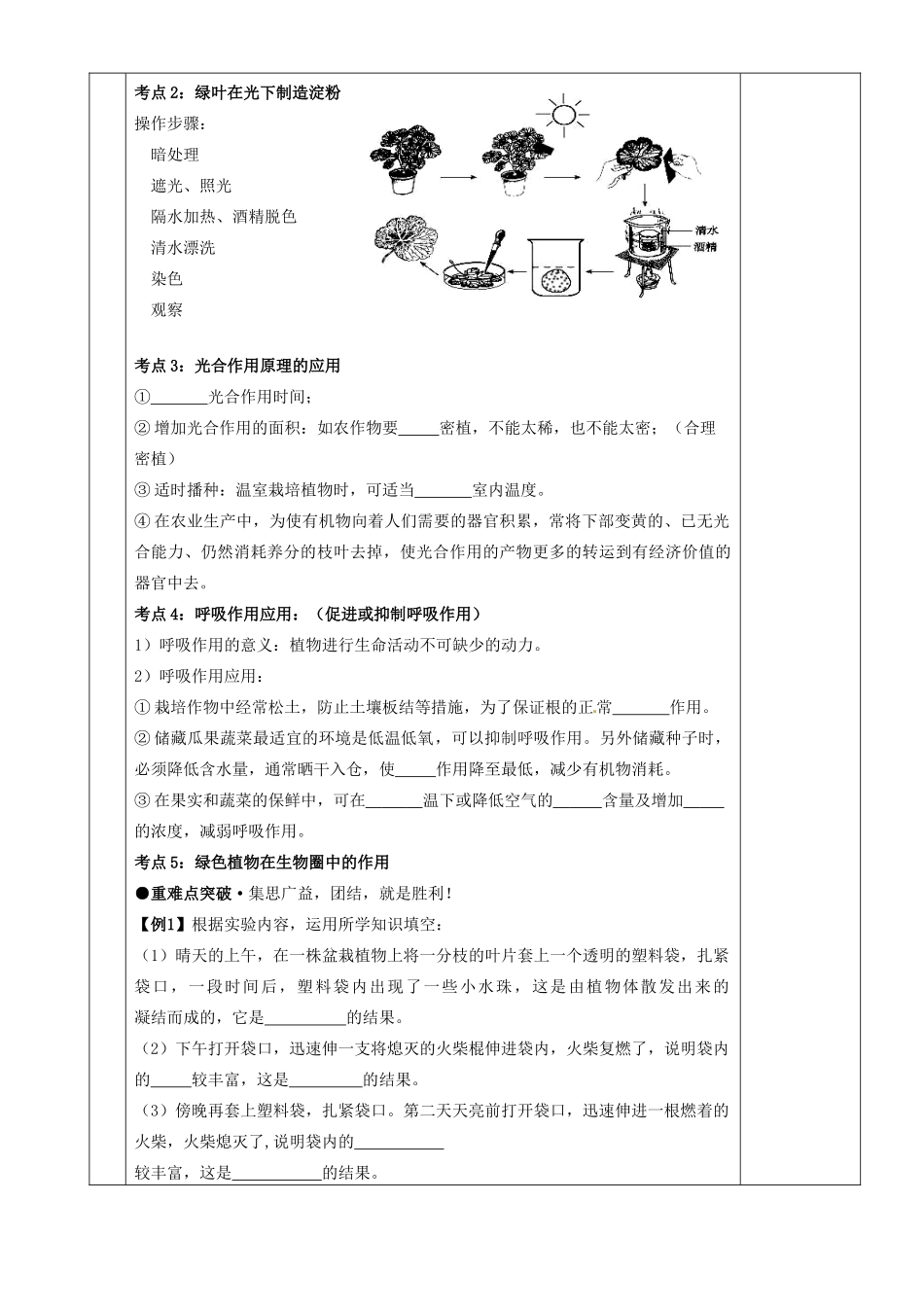 湖南省茶陵县世纪星实验学校八年级生物复习《第8讲 光合作用和呼吸作用《教案 人教新课标版_第2页