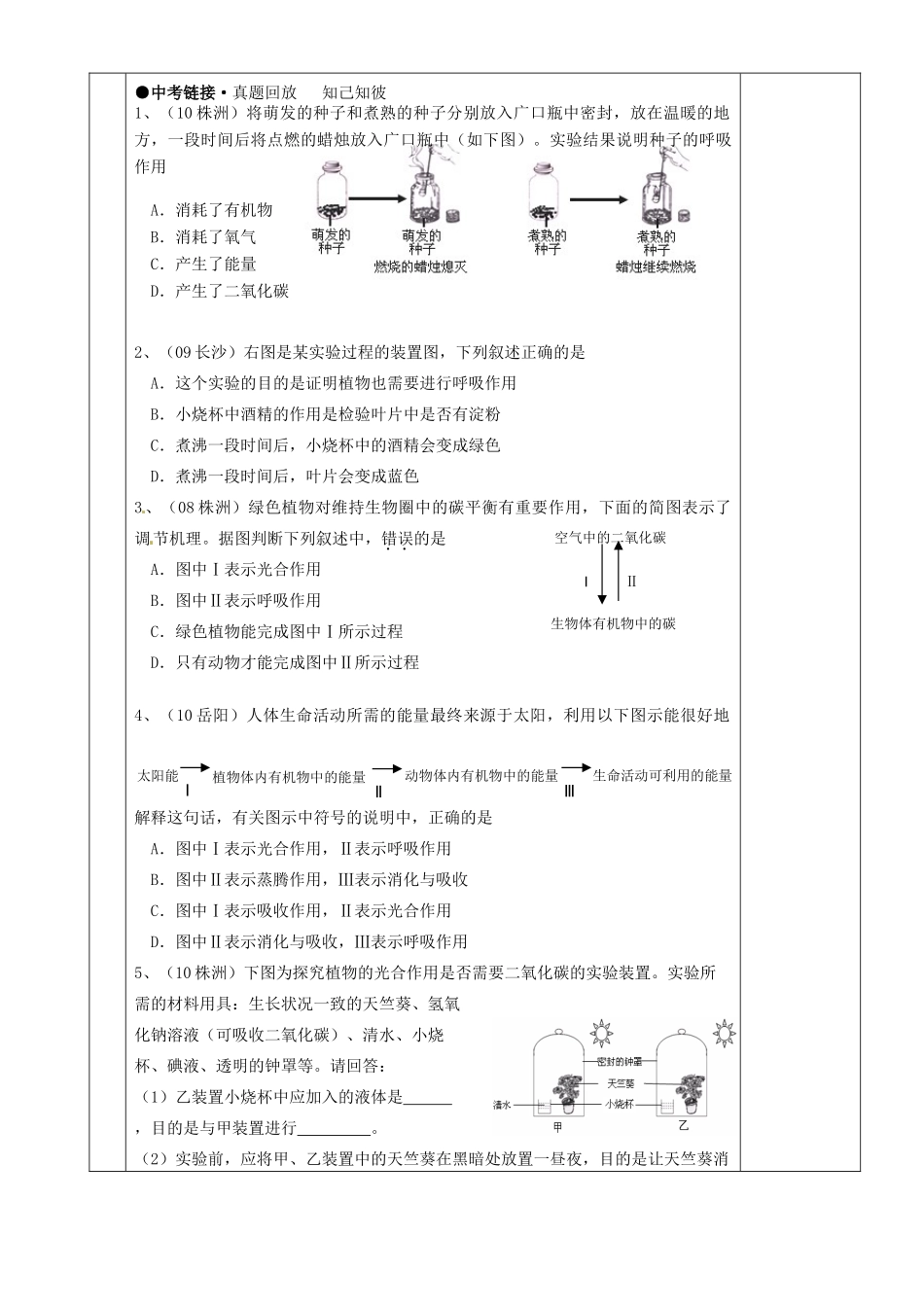 湖南省茶陵县世纪星实验学校八年级生物复习《第8讲 光合作用和呼吸作用《教案 人教新课标版_第3页