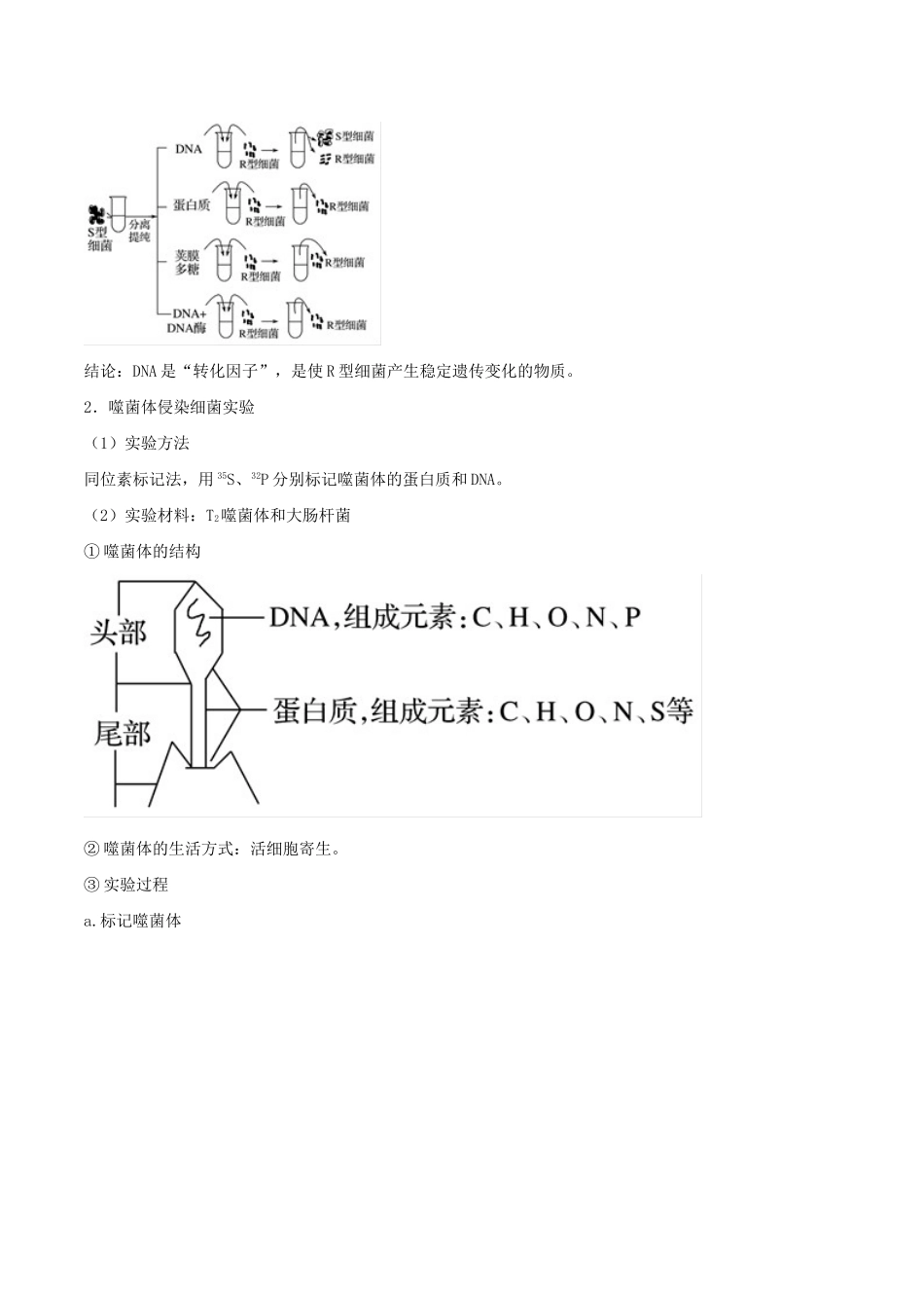 高考生物二轮复习 专题07 遗传的分子基础（讲）（含解析）-人教版高三全册生物教案_第3页