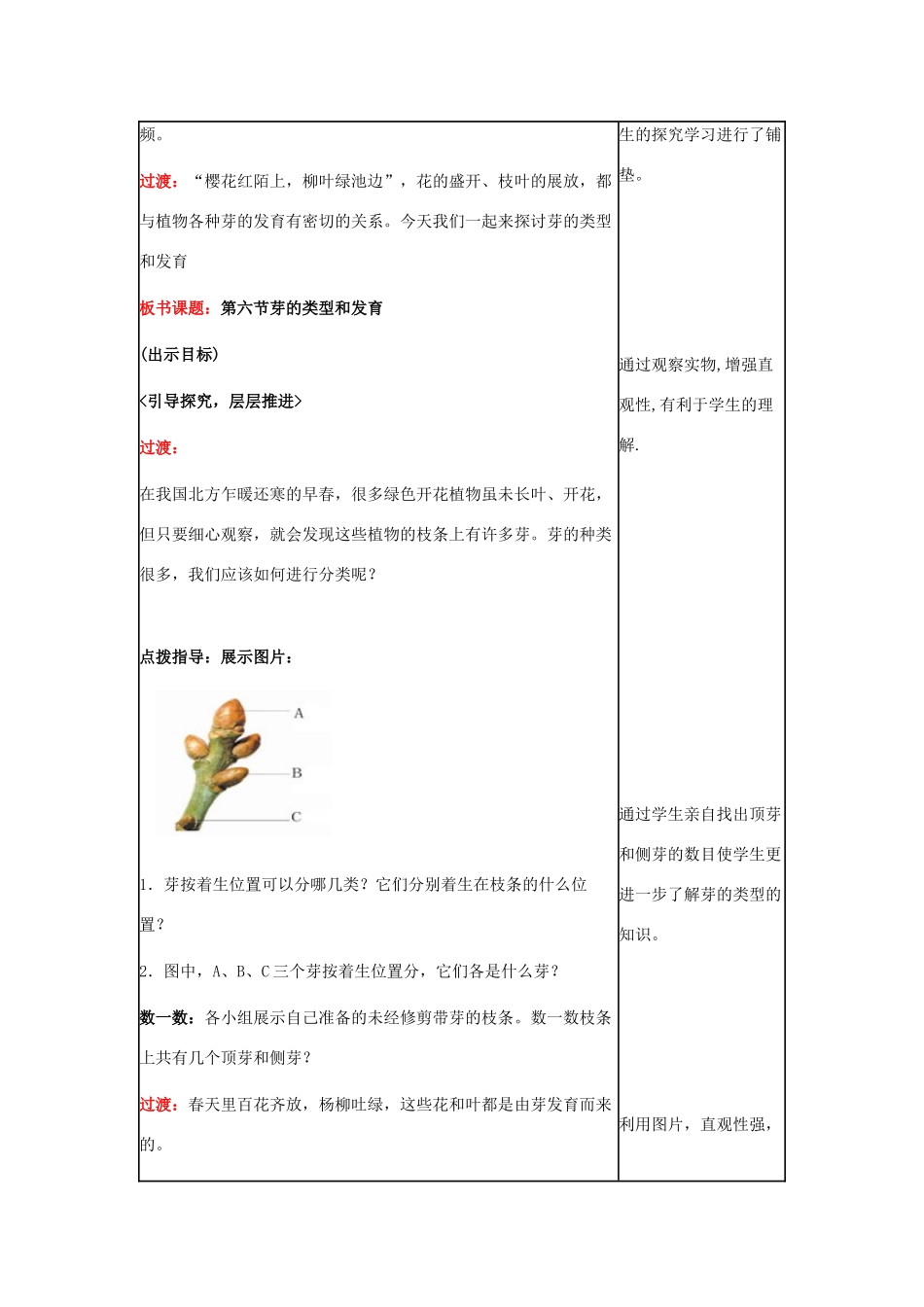 八年级生物上册 第四单元 第一章 第六节《芽的类型和发育》教学设计 济南版-济南版初中八年级上册生物教案_第2页