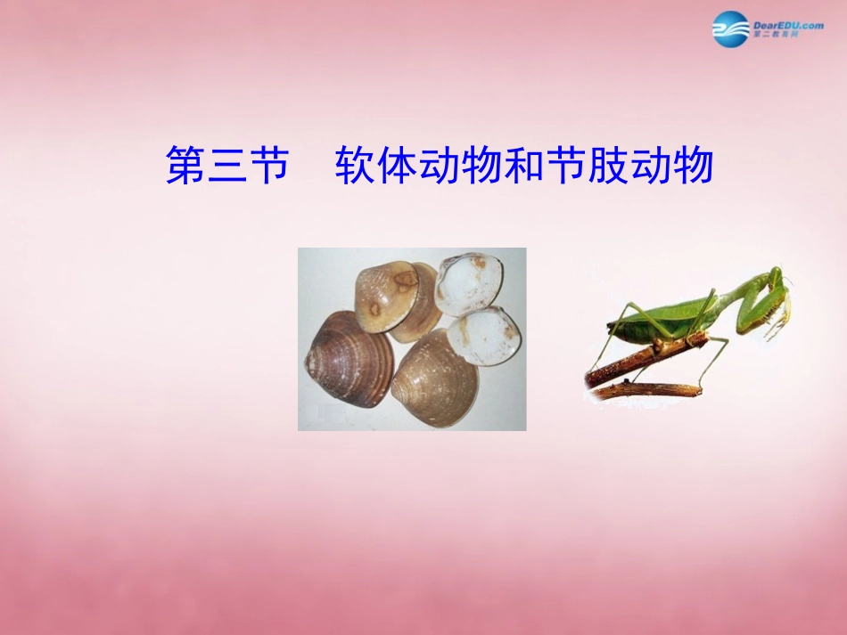 八年级生物上册 5.1.3 软体动物和节肢动物课件 （新版）新人教版_第1页
