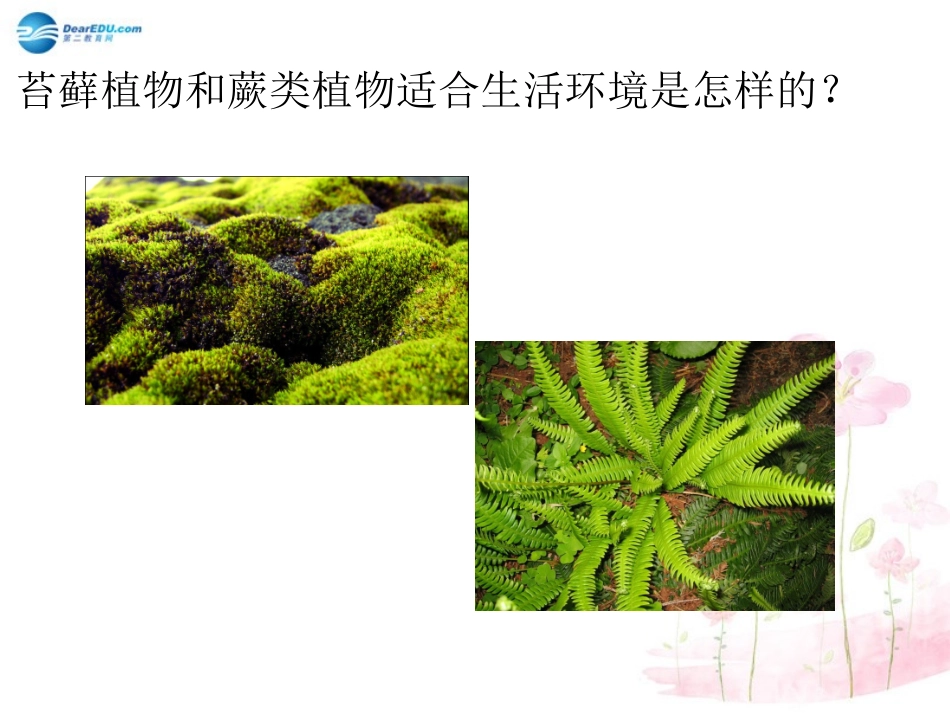 八年级生物下册 第22章 第三节 植物的主要类群课件2 （新版）北师大版_第2页