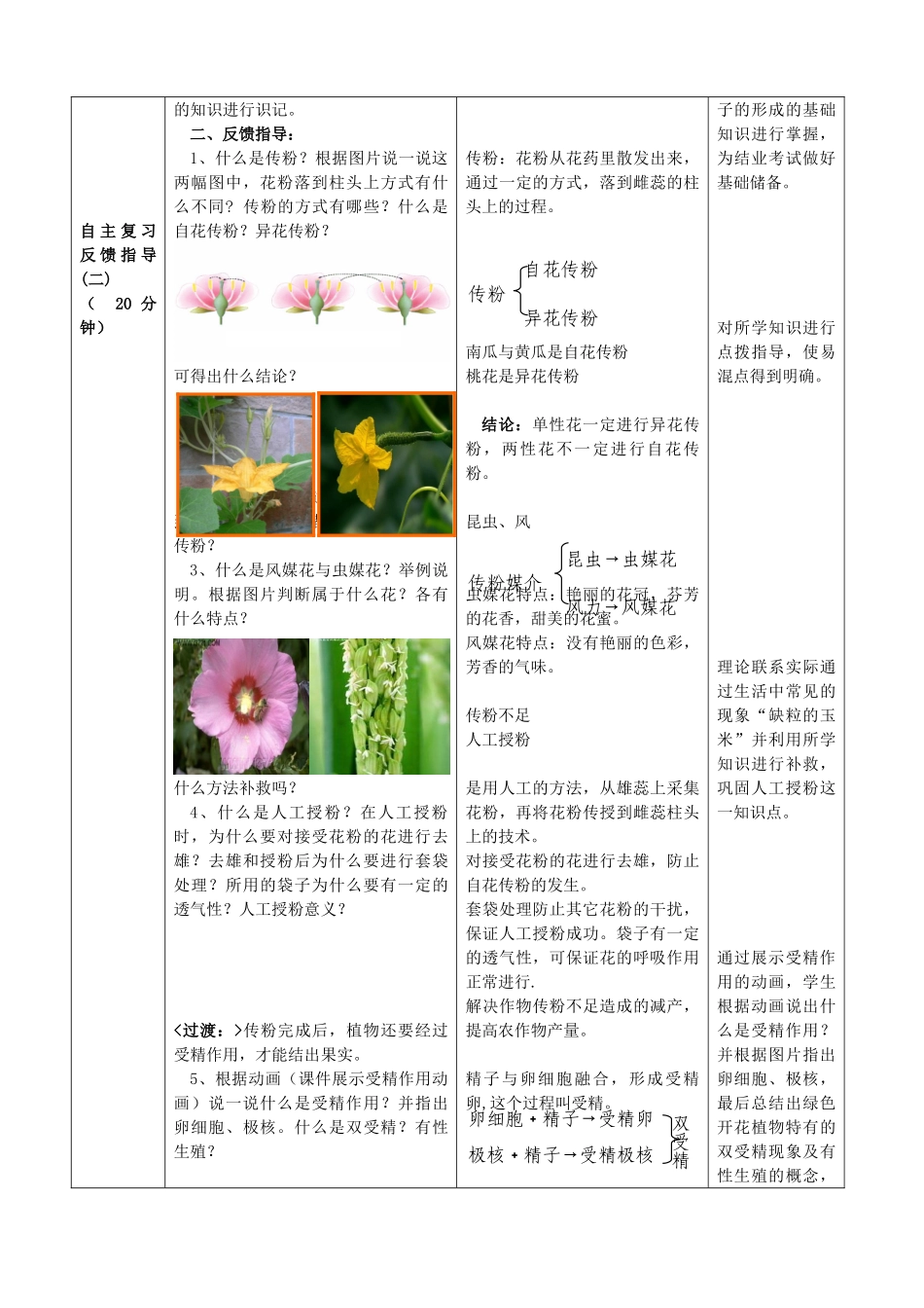 八年级生物上册 4.1 绿色开花植物的一生（1-3节）复习教案2 （新版）济南版_第3页