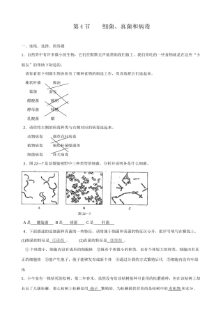 八年级生物新人教版细菌、真菌和病毒