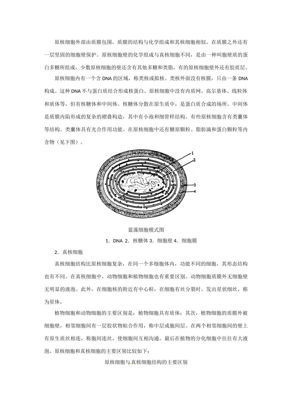 高中生物 第八讲 细胞生物学竞赛辅导讲座_第3页