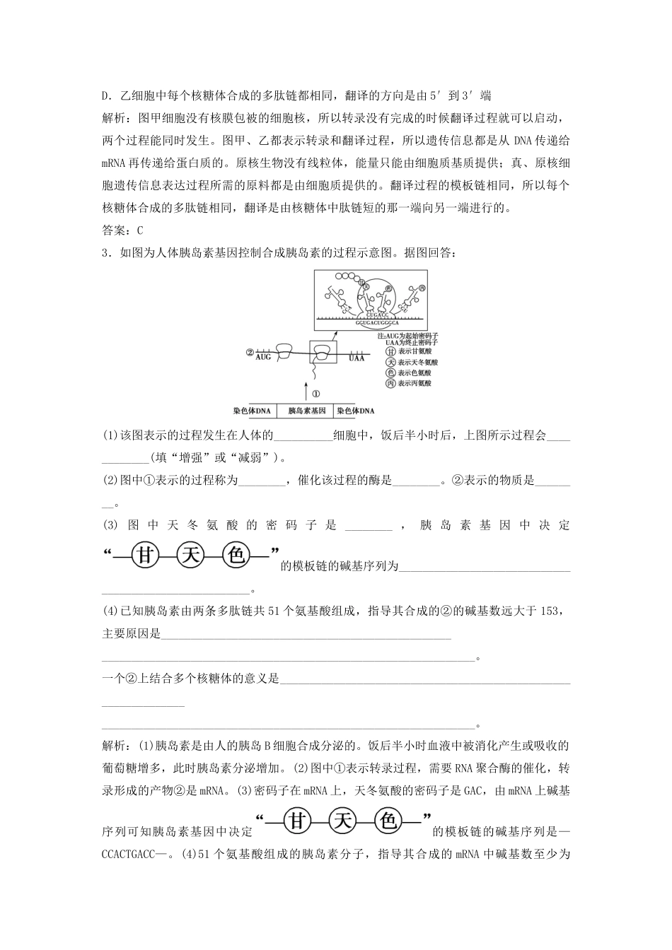 （新课标）高考生物一轮总复习 解题技巧七 与基因表达有关的图形图解题教案-人教版高三全册生物教案_第2页