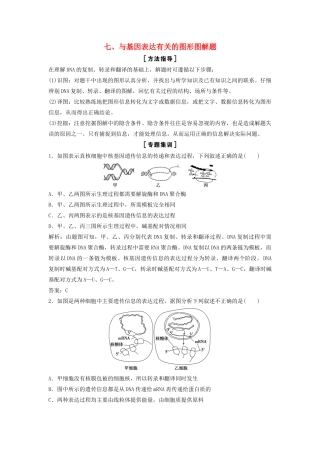 （新课标）高考生物一轮总复习 解题技巧七 与基因表达有关的图形图解题教案-人教版高三全册生物教案