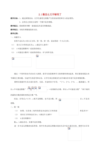 八年级数学上册 2.1数怎么又不够用了教案 北师大版