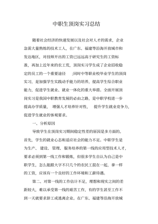 中职生顶岗实习总结