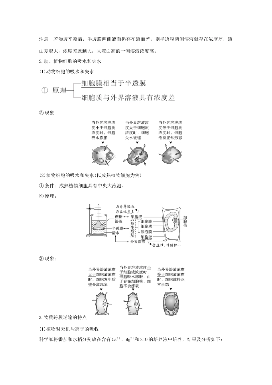 高考生物一轮复习 第二单元 细胞的基本结构与物质运输 第6讲 细胞的物质输入和输出教案 新人教版必修1-新人教版高三必修1生物教案_第2页