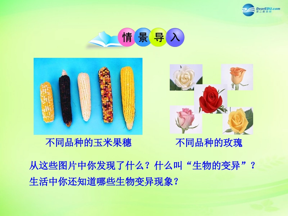 八年级生物下册 第二十二章 第5节《生物的变异》课件 （新版）苏教版_第2页