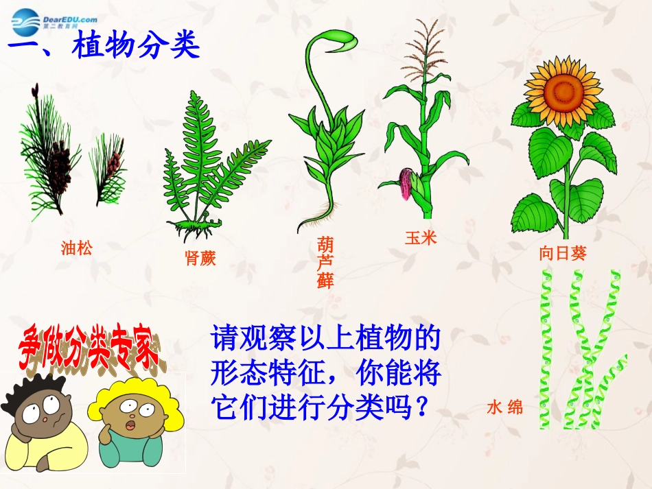 八年级生物上册 6.1.1 尝试对生物进行分类课件1 （新版）新人教版_第3页