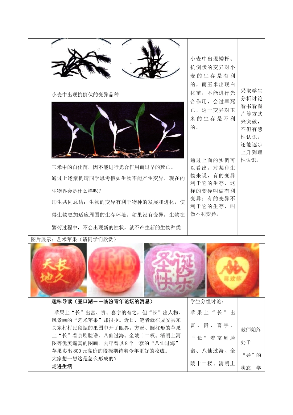 八年级生物上册 4.4.4《生物的变异》教案 （新版）济南版-（新版）济南版初中八年级上册生物教案_第3页