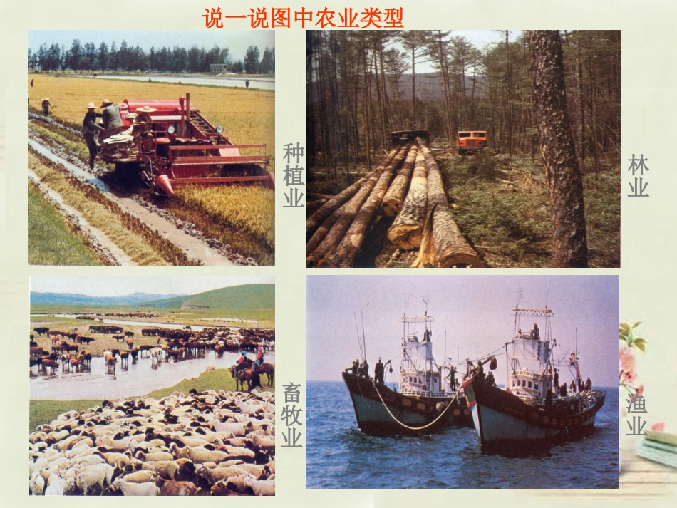 八年级地理上册 4.1 因地制宜发展农业（第1课时）课件 （新版）商务星球版_第2页