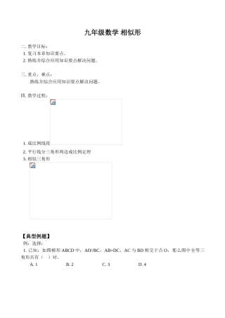 九年级数学 相似形教案