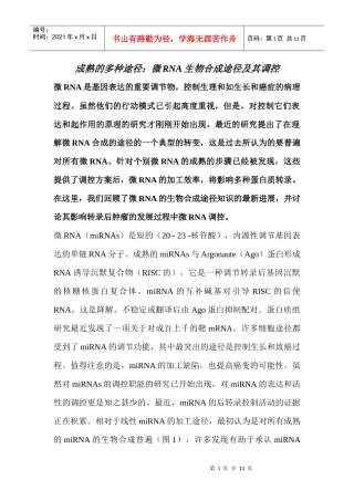 到期许多道路：小分子RNA生物合成途径及其调控