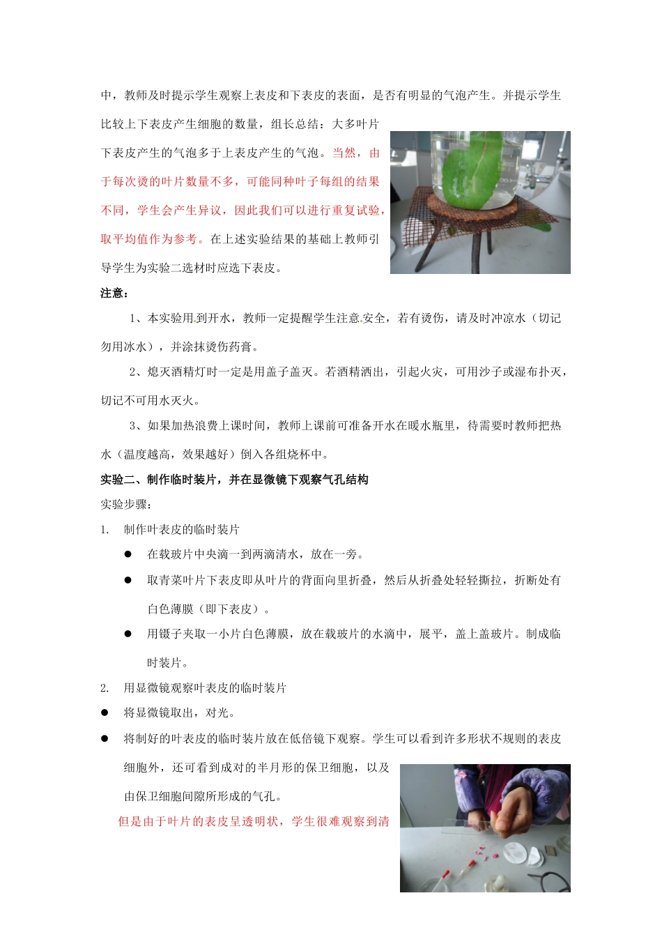 江西省信丰县黄泥中学中考生物实验汇总复习 观察叶表皮气孔的结构及开闭的实验教学设计_第3页