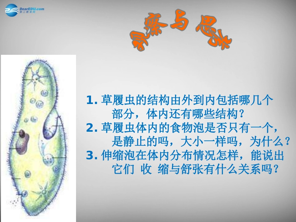 安徽省长丰县下塘实验中学七年级生物上册《2.2.4 单细胞生物》课件 （新版）新人教版_第3页