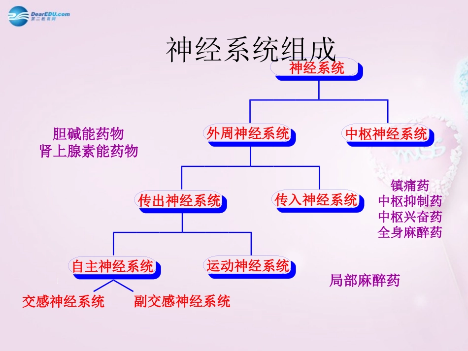 湖南省长沙市长郡芙蓉中学七年级生物下册《4.6.2 神经系统的组成》课件 新人教版_第1页
