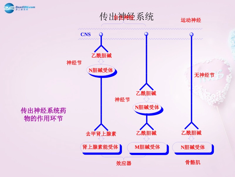 湖南省长沙市长郡芙蓉中学七年级生物下册《4.6.2 神经系统的组成》课件 新人教版_第2页