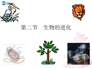 八年级生物下册 第21章 第二节 生物的进化课件4 （新版）北师大版
