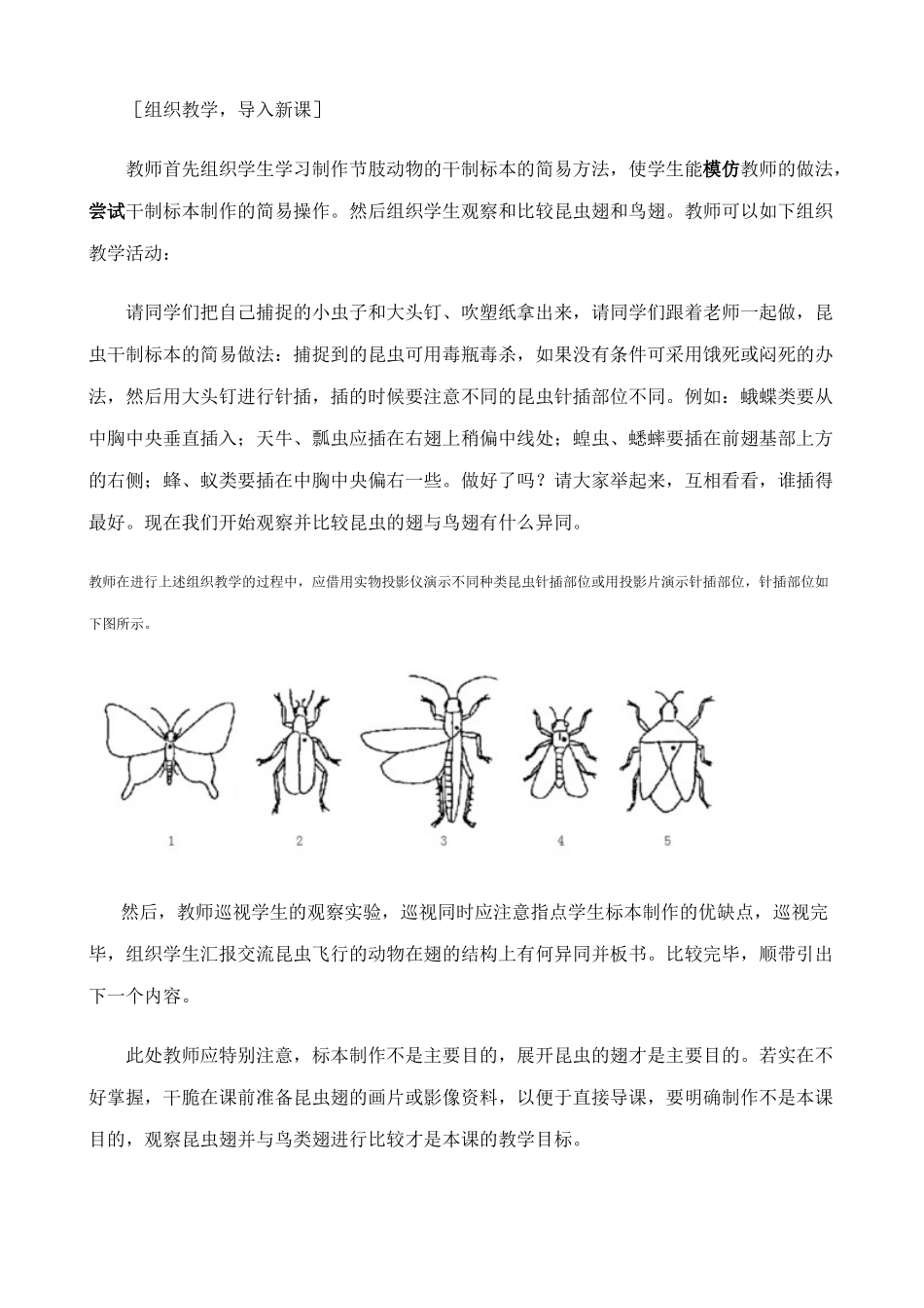 八年级生物新人教版空中飞行的动物_第3页