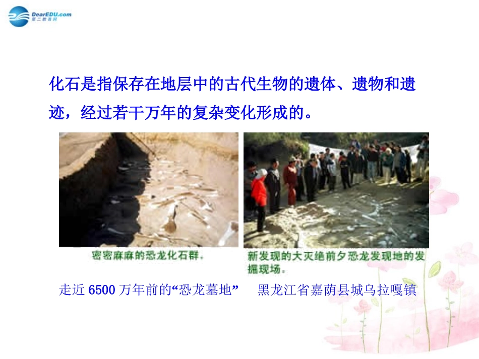 八年级生物下册 第21章 第二节 生物的进化课件1 （新版）北师大版_第3页