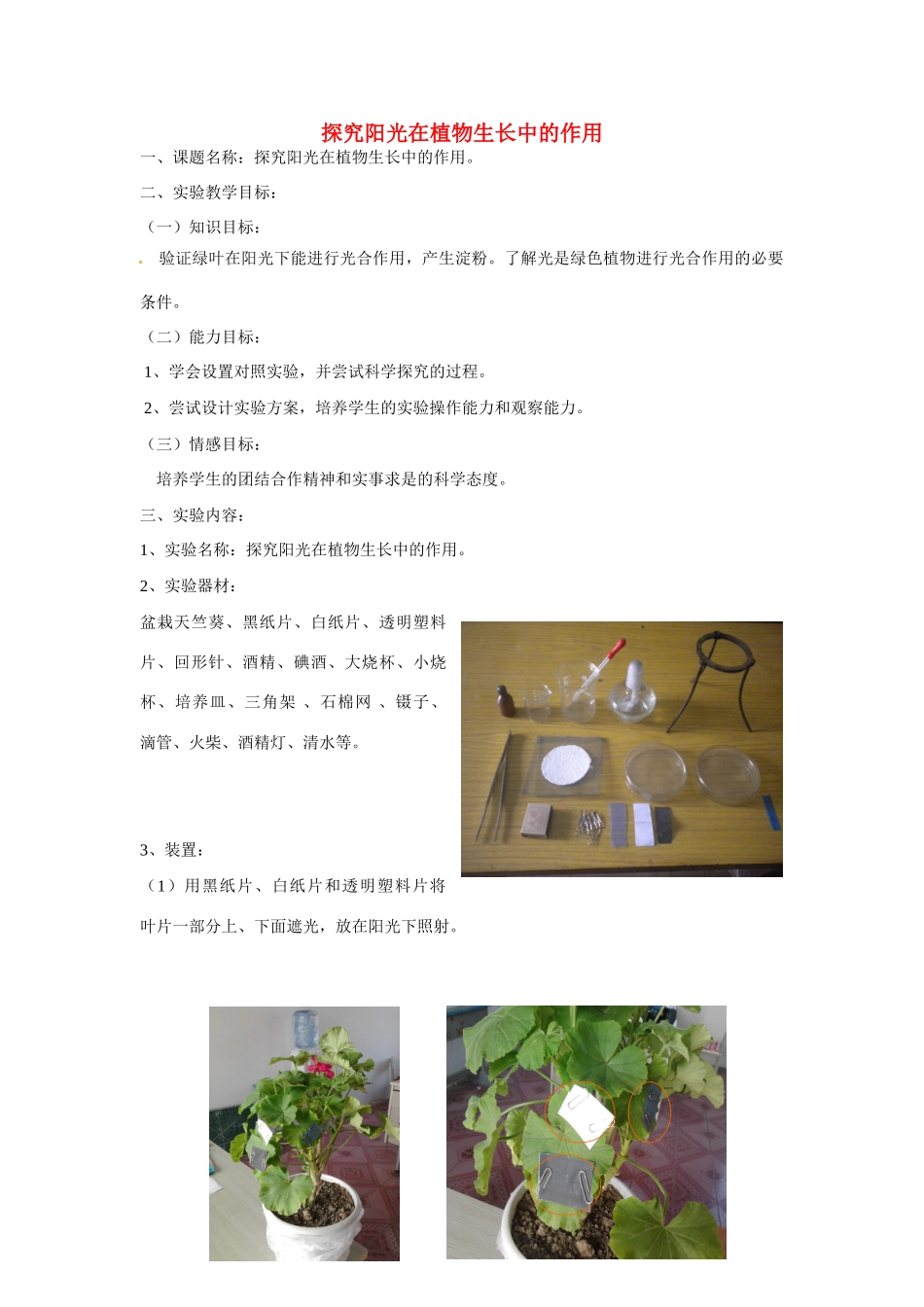 江西省信丰县黄泥中学中考生物实验汇总复习 探究阳光在植物生长中的作用教学设计_第1页
