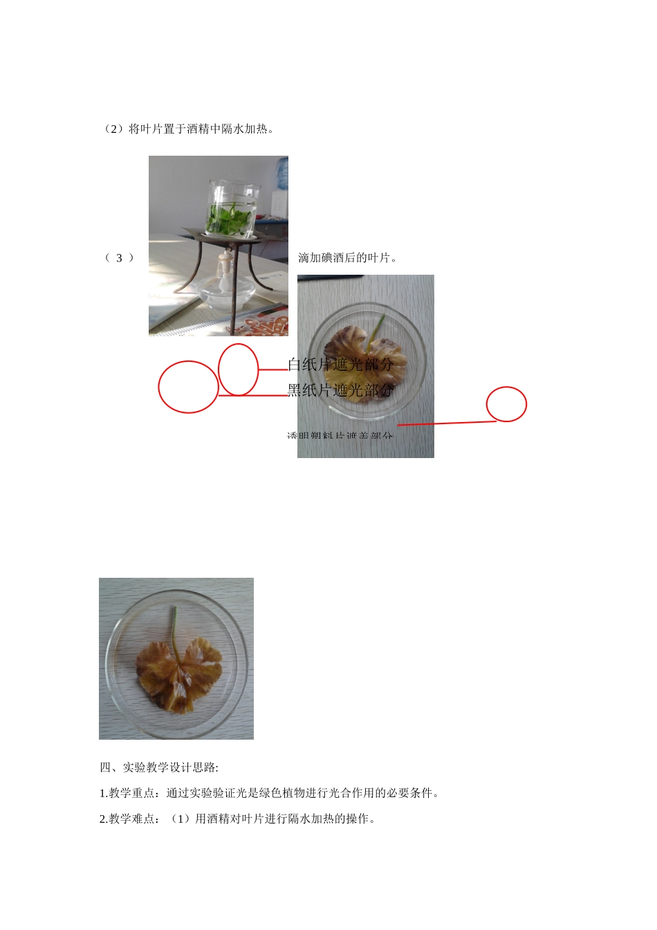 江西省信丰县黄泥中学中考生物实验汇总复习 探究阳光在植物生长中的作用教学设计_第2页