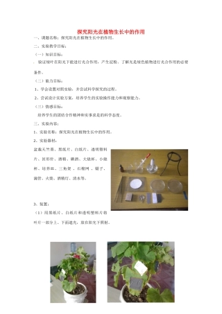 江西省信丰县黄泥中学中考生物实验汇总复习 探究阳光在植物生长中的作用教学设计