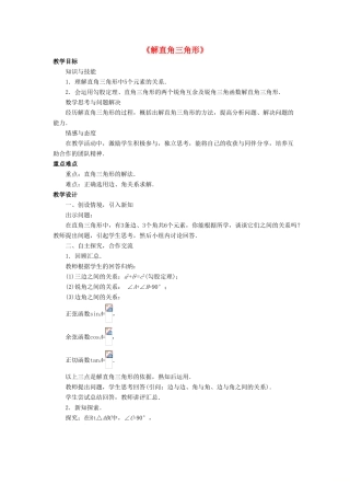 九年级数学上册 第二章 解直角三角形 2.4《解直角三角形》教案 （新版）青岛版-（新版）青岛版初中九年级上册数学教案